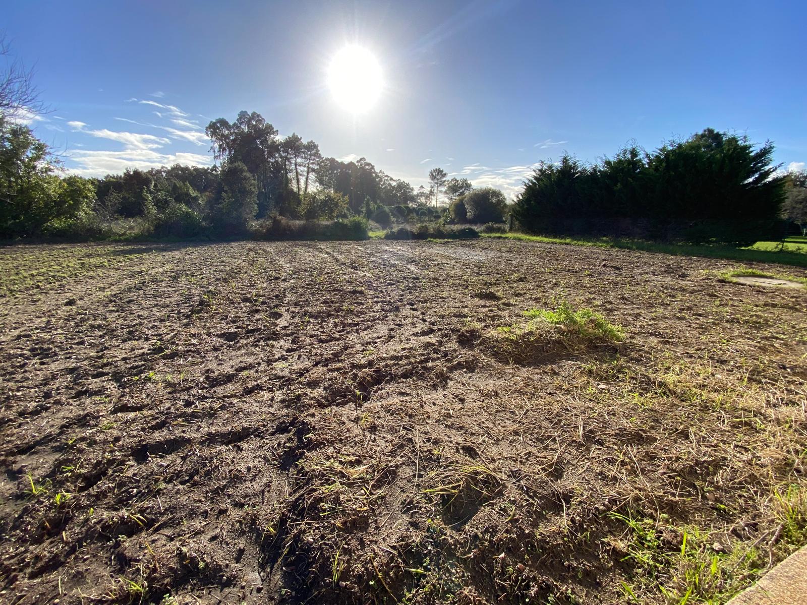 CASA EN SIRVES JUNTO AL PARQUE NATURAL DE LAS DUNAS DE CORRUBEDO
