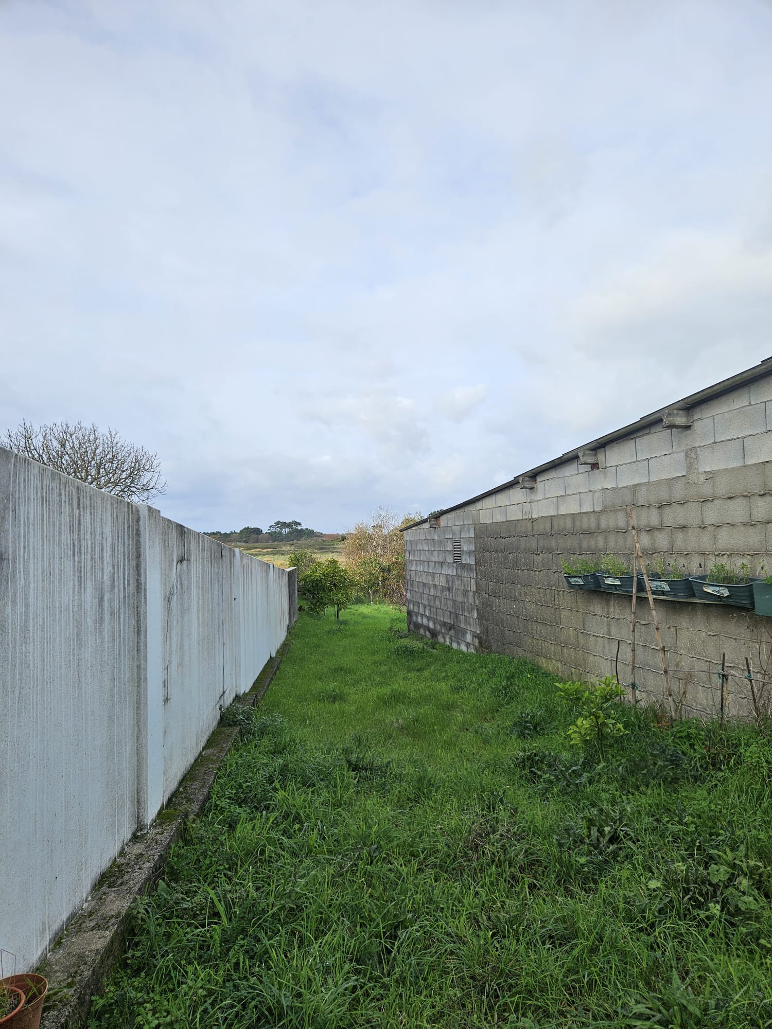 CASA RUSTICA EN AGUIÑO CON TERRENO