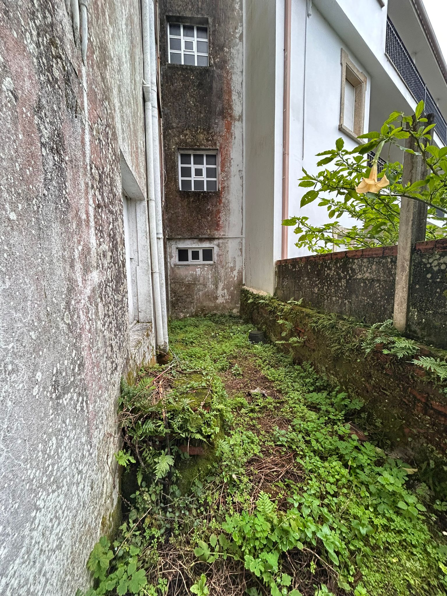 OPORTUNIDAD ÚNICA: EDIFICIO COMPLETO EN NOIA CON VIVIENDAS INDEPENDIENTES Y GARAJE