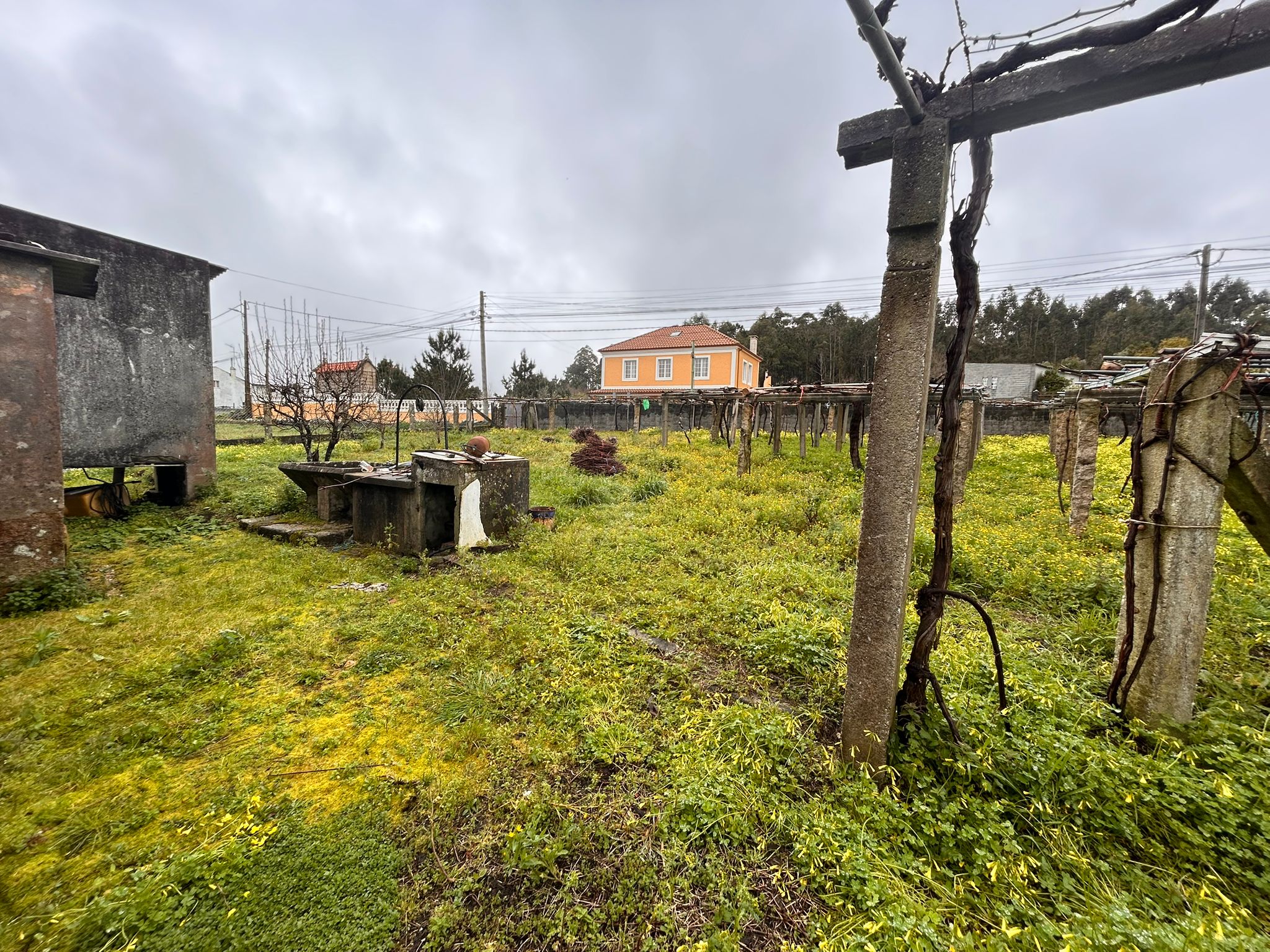 CASA DE PIEDRA CON FINCA EN BRETAL
